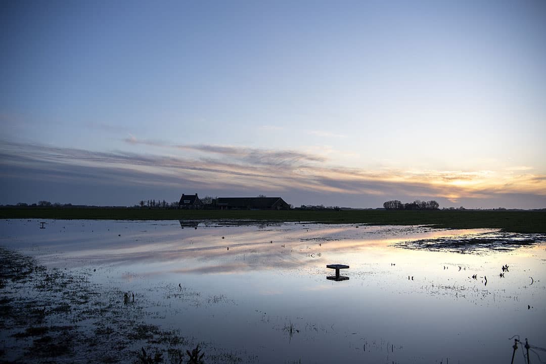 Foto: Herbert Wiggerman