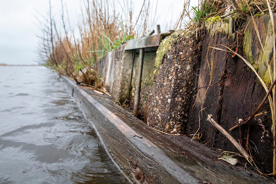 In het project Valuta voor Veen gaat het grondwaterpeil omhoog om de afbraak van veen tegen te gaan. Op de foto de polder van Langweer in Friesland. - Foto: Anne van der Woude