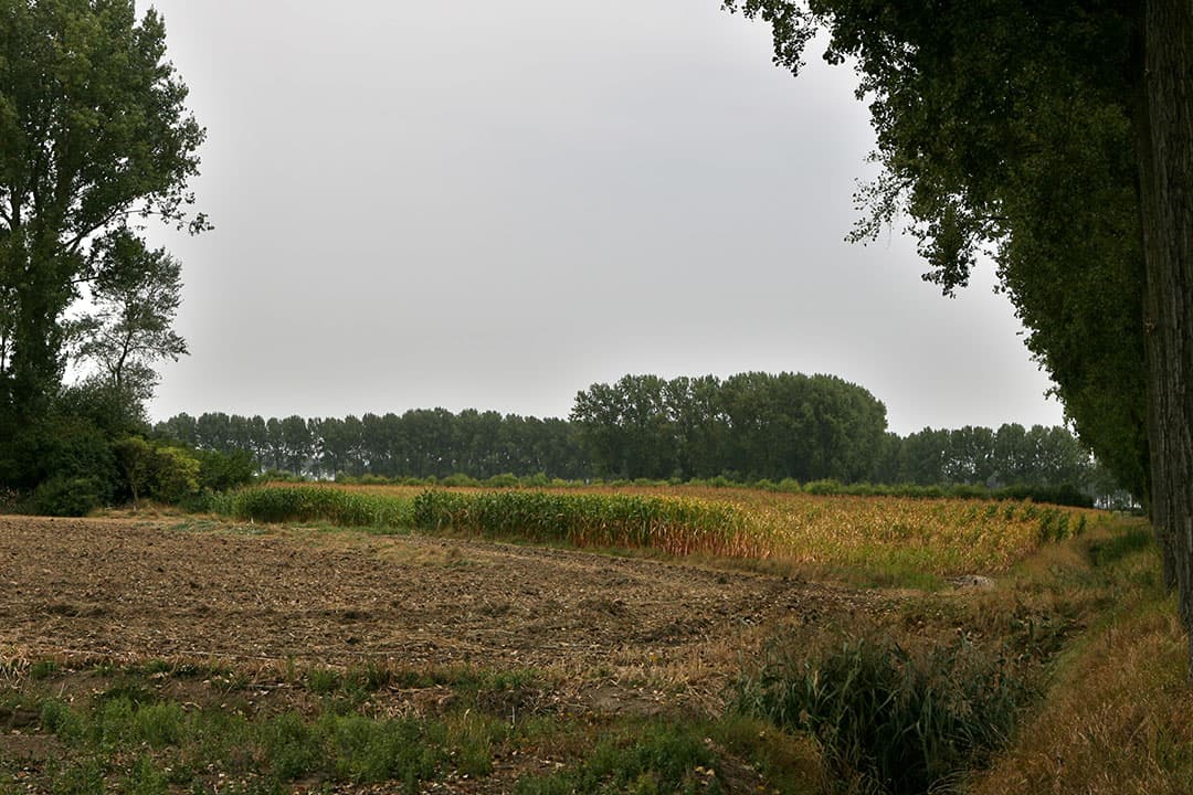 natuurherstelwet