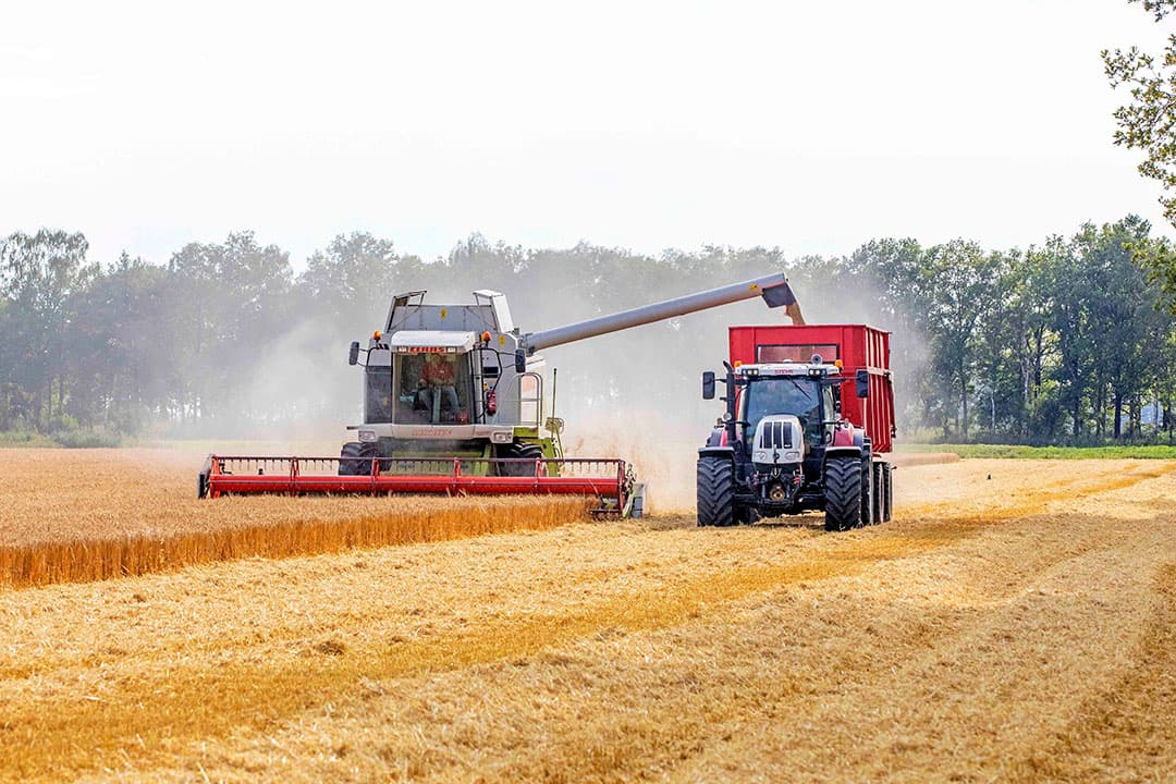 Oogst van zomergerst in Onstwedde (Gr.) - Foto: Koos van der Spek
