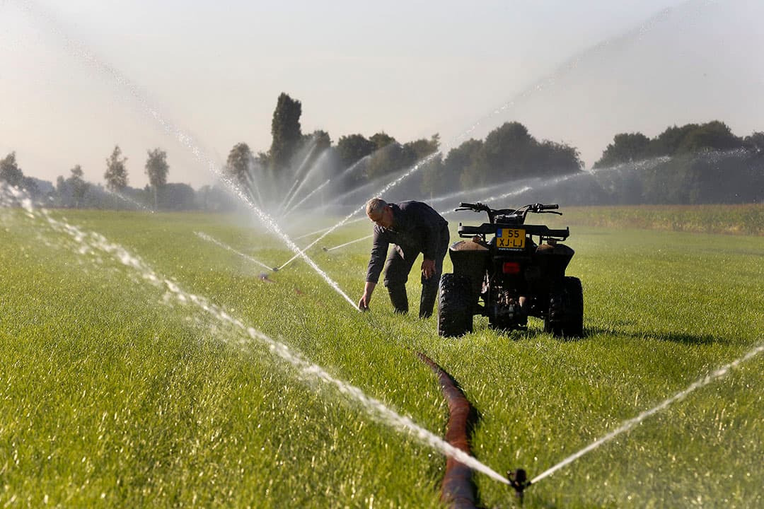 Droogtebestrijding: neerslag en hitte vragen om blijvende beregening voor wie dat kan. - Foto: Hans Prinsen
