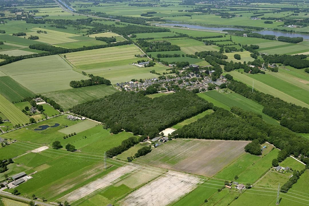 De opkoopregelingen voor piekbelasters en andere veehouderijen gaan vanaf half juni open. - Foto: ANP