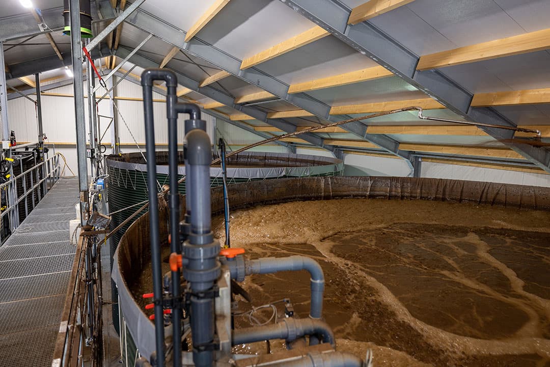 Rechts de twee reactoren voor de biologische bewerkingsstap van de dunne fractie. Ammoniak wordt omgezet in onschuldig N2-gas. - Foto's: Peter Roek