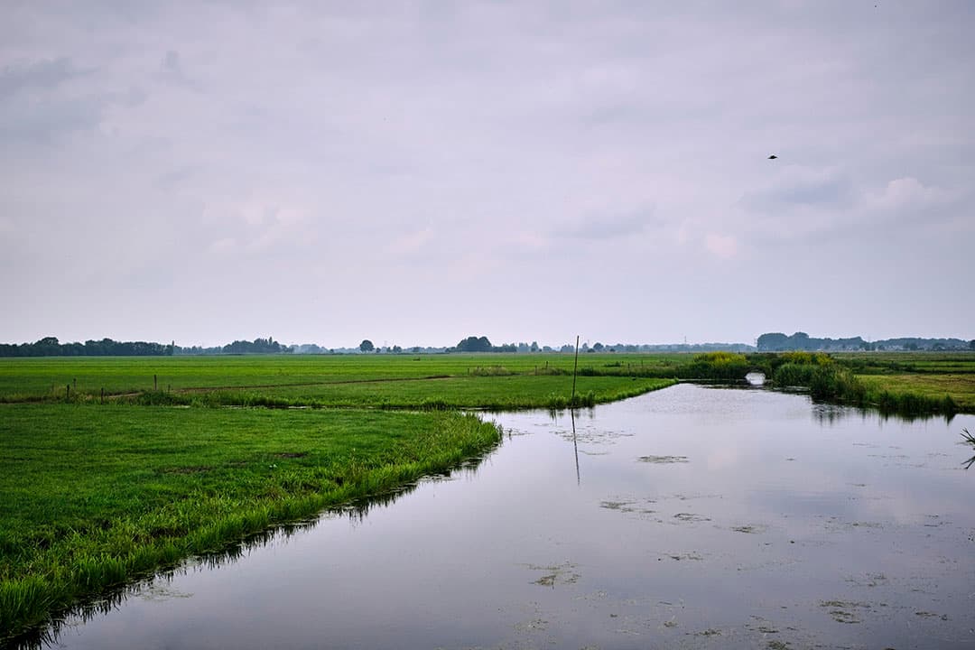 natuurherstelwet