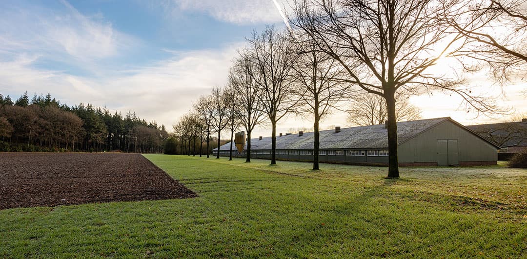Een boerderij in de Gelderse Vallei dicht bij een Natura 2000-gebied. - Foto: Herber Wiggerman