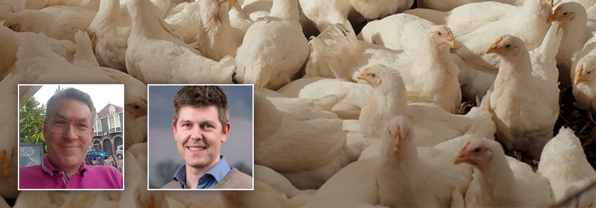 Vleeskuikenhouder Erik Weel deelt ervaring met in ovo-vaccinatie