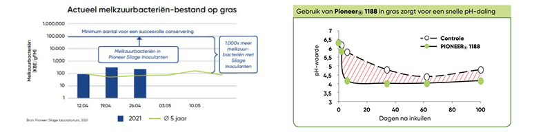 Grafieken