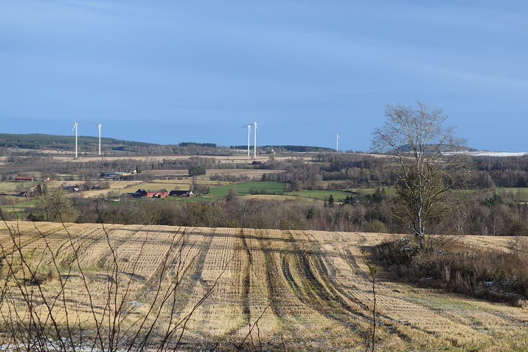 Bijna alle melkveebedrijven bevinden zich in Zuid-Zweden. De temperaturen liggen er ’s winters zo’n vijf graden lager dan in Nederland. Het wordt in die periode ook vrij vroeg donker; rond vier uur. - Foto: Theo Brummelaar