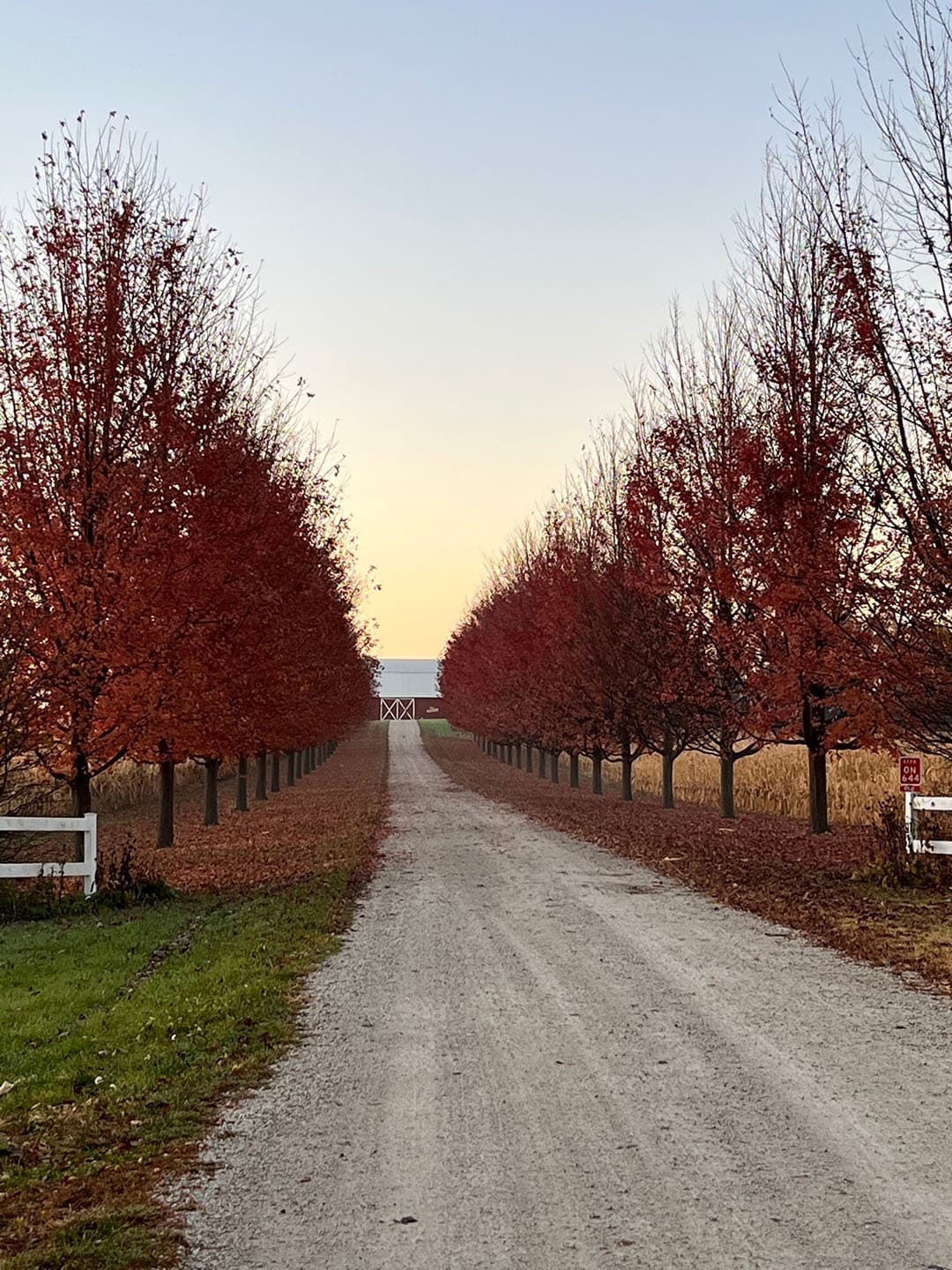 Pitstick Farms is gevestigd in de plaats Maple Park, niet ver van Chicago (Illinois).