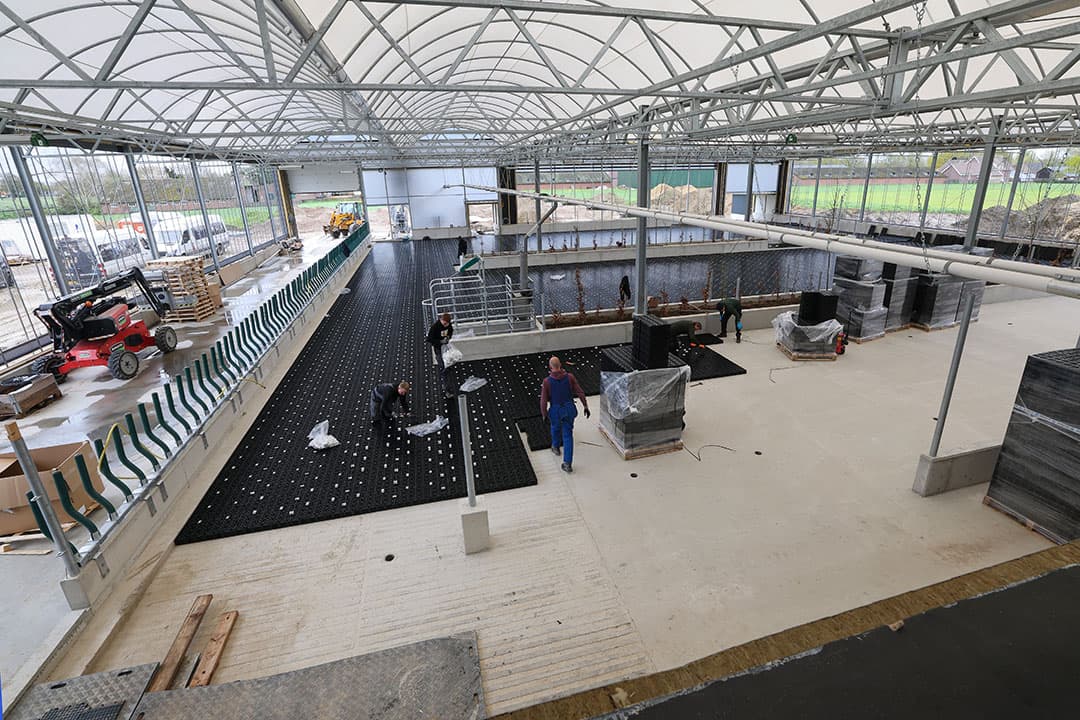 Een overzicht in de koeientuin met capaciteit voor 70 melkkoeien. Op 24 april werd de ondervloer van de kenmerkende High Welfare-vloer van de koeientuin geplaatst. Deze welzijnsmat – een soort kunststof trampolinezeil -veert goed en laat vocht door. Met dit innovatieve vloersysteem dat ammoniakuitstoot moet beperken, heeft van Esch proefstatus. Wageningen University & Research gaat dit een jaar lang monitoren.