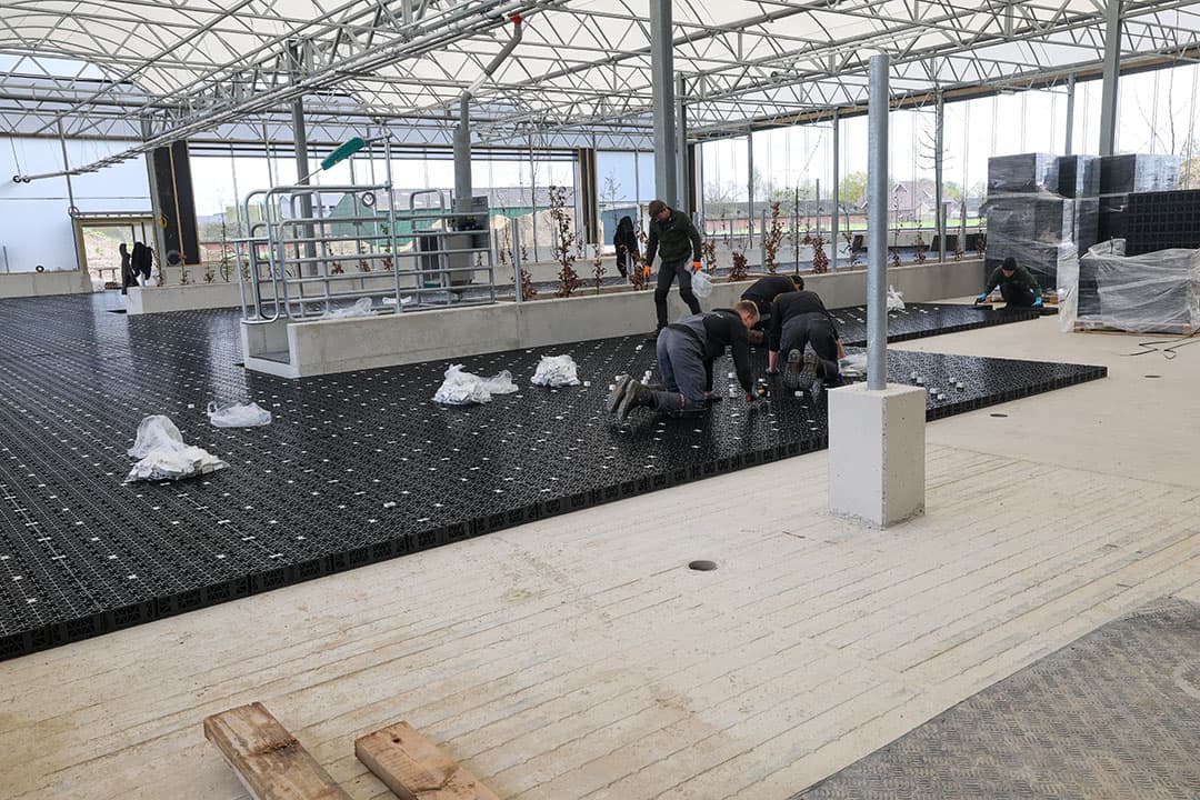 De werkzaamheden aan de ondervloer gaan verder. De constructie voor het hekwerk voor de wachtruimte van de melkrobot is hier zichtbaar. Dit zijn allemaal vastomlijnde maten zodat de mestrobots er goed langs kunnen.