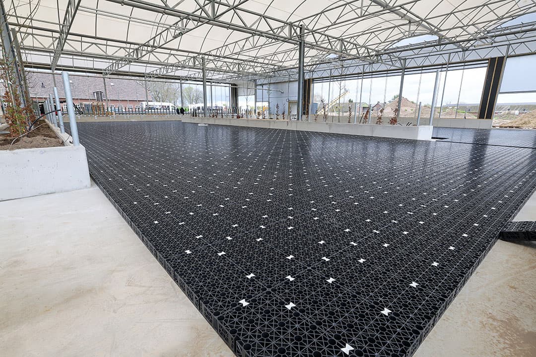 De koeien hebben ook voldoende lucht en licht in de serrestal/koeientuin. Als de tussenmatten en toplaag van de High Welfare-vloer straks aangebracht zijn, kunnen de koeien er op.