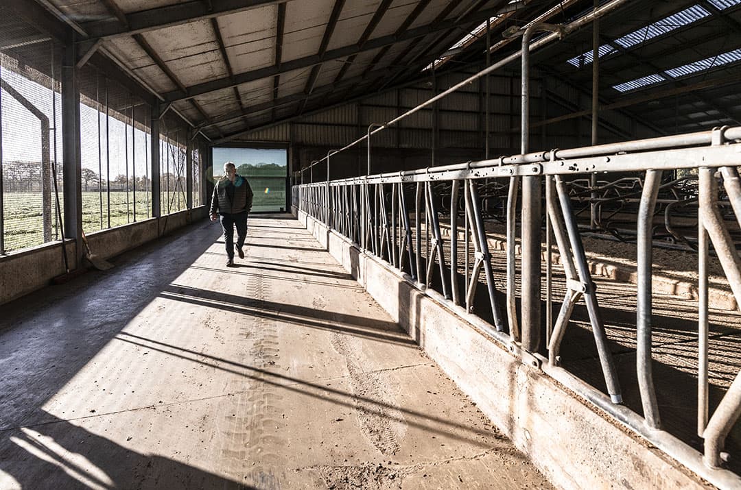 ‘woest-aantrekkelijke’ regeling