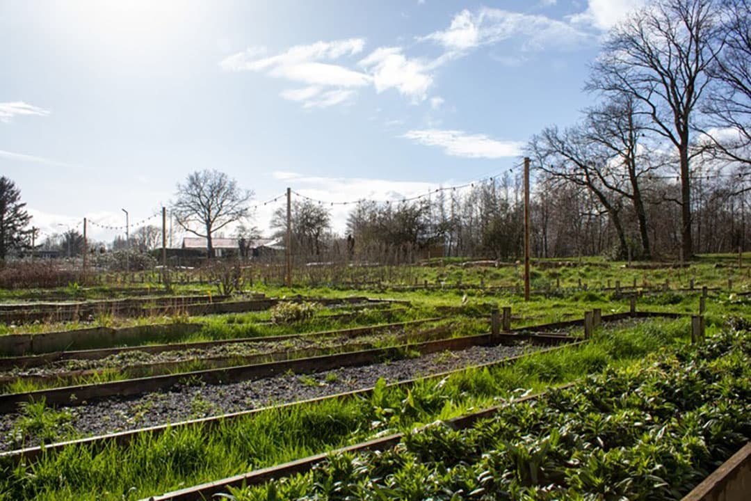 De Theetuin. De tuin is opgedeeld in tien verschillende 'hoefijzers', met in elke 'hoefijzer' kruiden en plantjes.