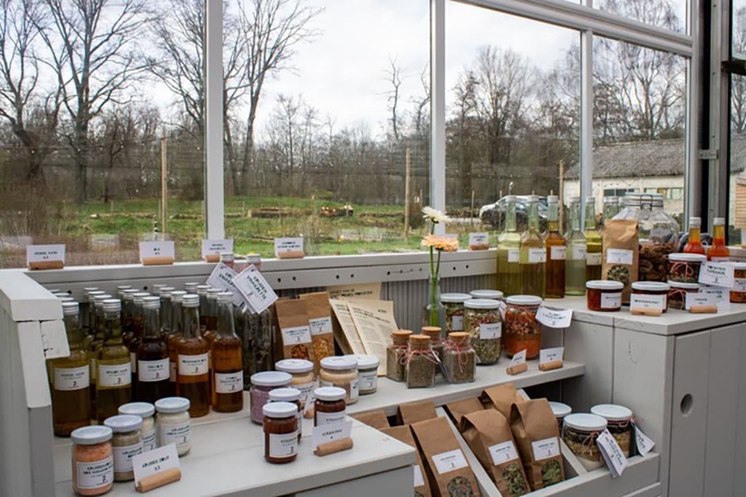 Verse lokale producten te koop bij Stadsjochies. Met onder andere: venkel azijn, chiliolie, vijgenjam en kruidenzout.