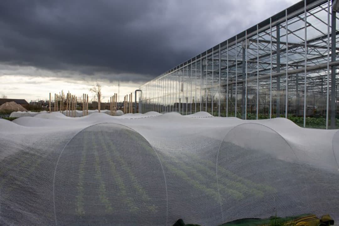 Bij Stadsjochies doen ze niet aan mechanische grondbewerking, ze proberen de natuur de natuur te laten.