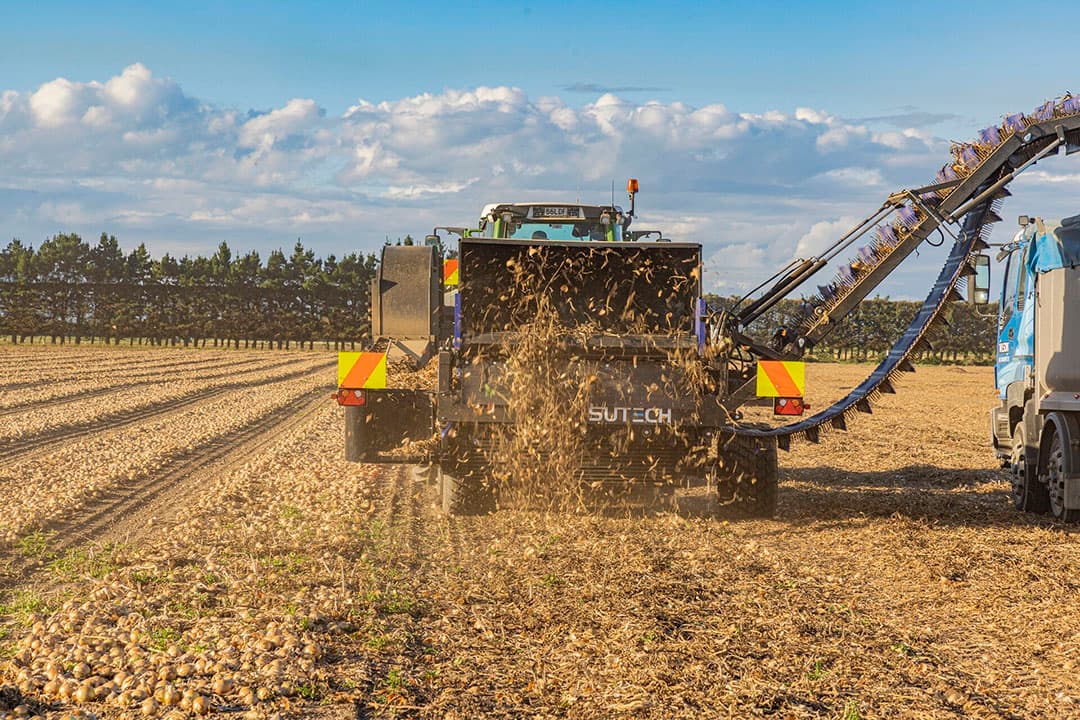 De versie die SU-Tech speciaal voor de akkerbouwer in Nieuw Zeeland heeft gebouwd, is bijzonder. De reiniging gebeurt door drie matten: een opraapmat van 180 cm breed en twee zeefmatten met een breedte van 200 cm. De zwadbreedte is 160 cm en de breedte van de afvoerband bedraagt 115 cm. Het benodigde vermogen is minimaal 150 pk. De capaciteit is maximaal 100 ton uien per uur.
