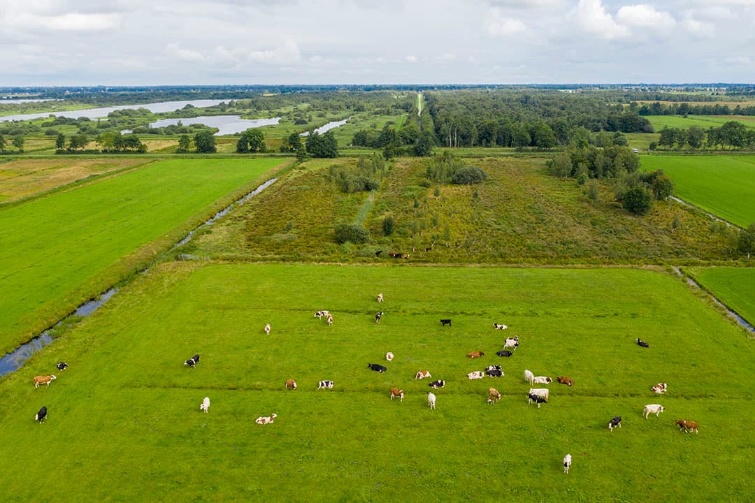 Van die 3.000 beoogde piekbelasters schat DLV-adviseur Marco Hol de deelname op zo’n 600 bedrijven. Dit zijn vooral melkveehouders, verwacht hij. - Foto: Anne van der Woude