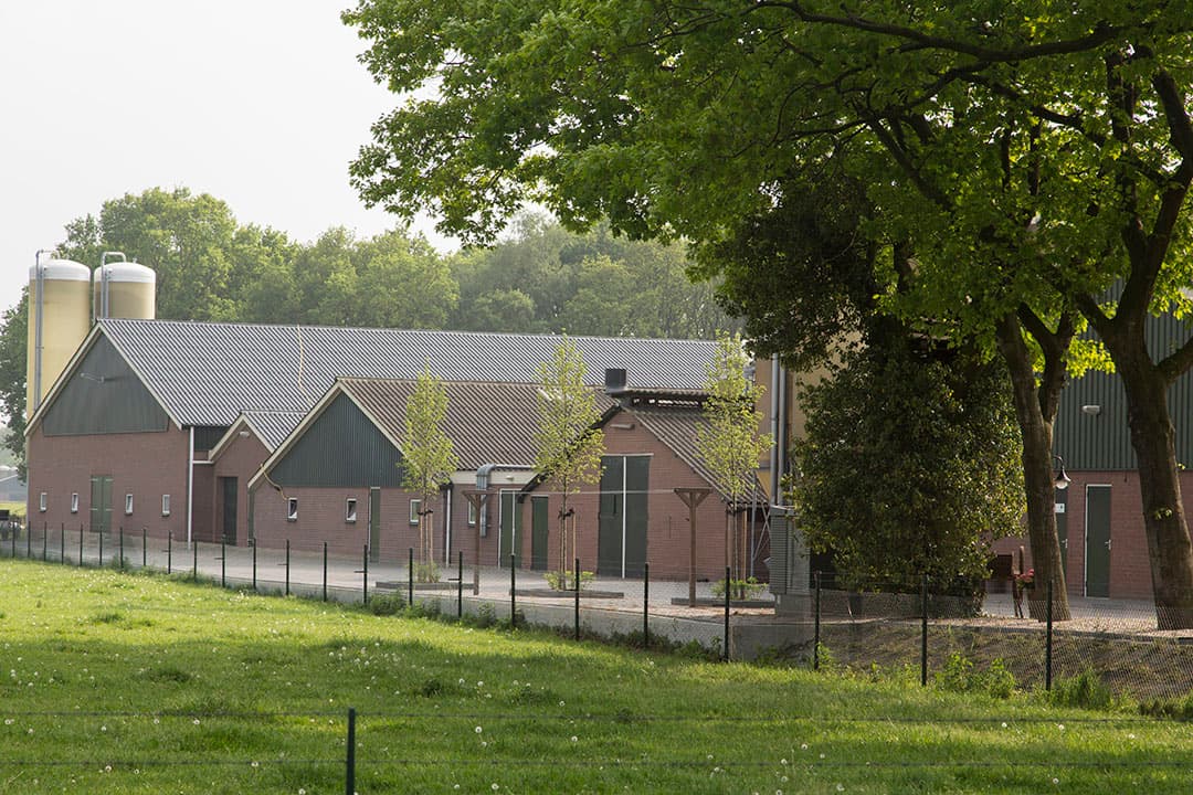 Foto: Koos Groenewold