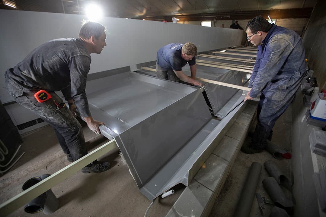 Onder de zeug zit een waterpan om mest te verdunnen en achter de zeug een goot om de mest af te voeren. - Foto: Hans Banus