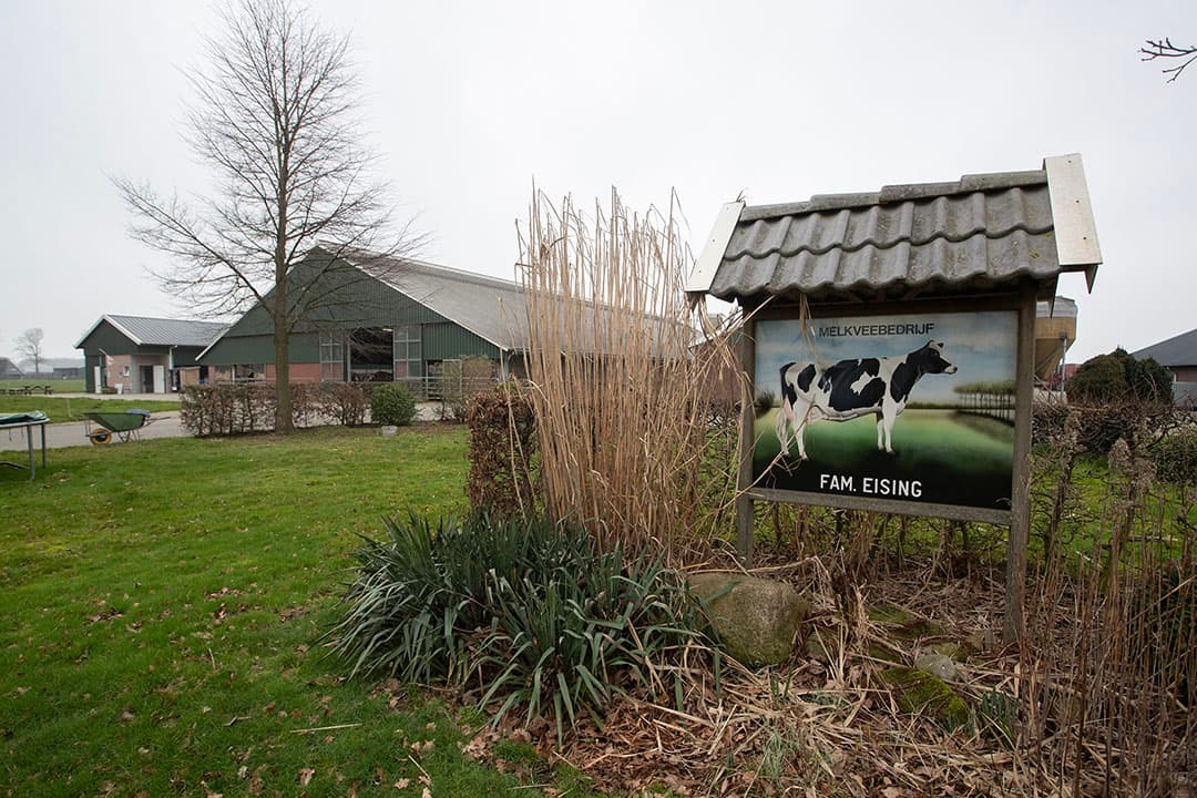 Niet alleen bij maatschap Eising zat de schrik er vorig najaar goed in. Ook andere veehouders in de buurt haalden hun jongvee eerder naar binnen. - Foto: Hans Banus