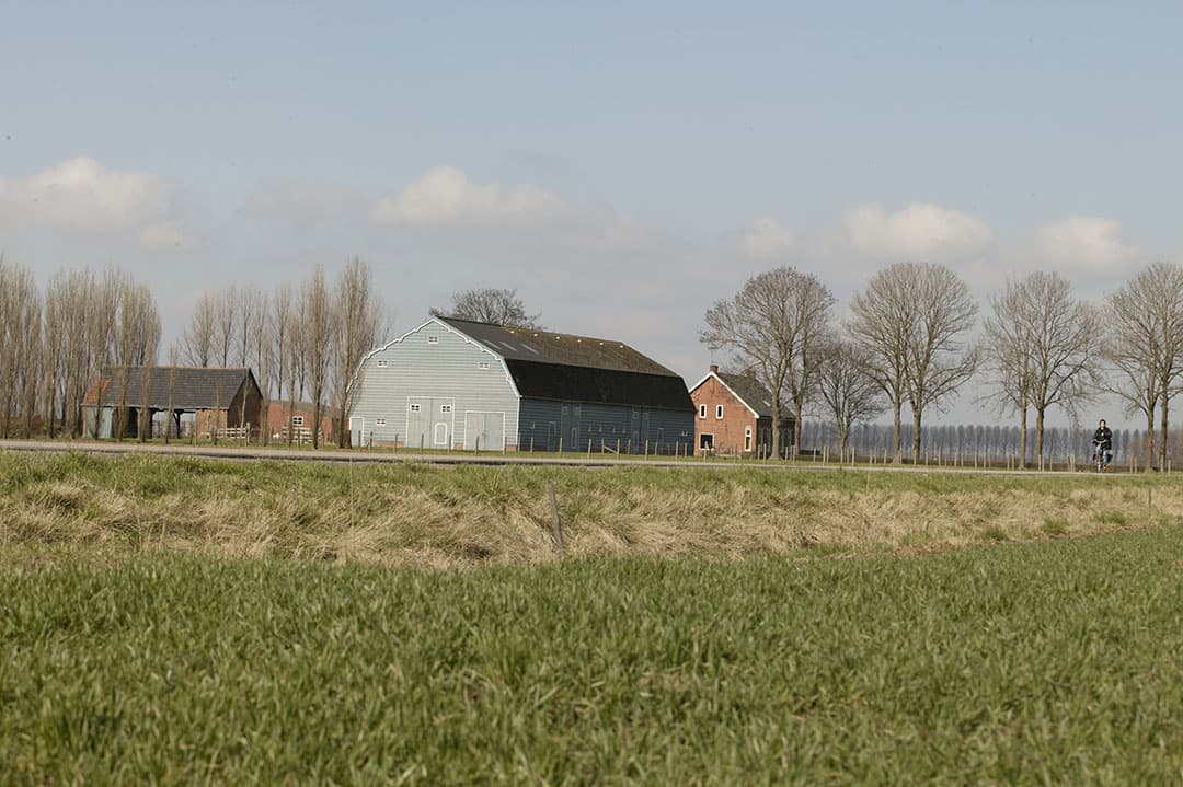 Volgens het Kadaster werd vorige maand het duurste perceel grasland verkocht in Zeeuws-Vlaanderen voor omgerekend bijna € 150.000 per hectare. - Foto: Mark Pasveer