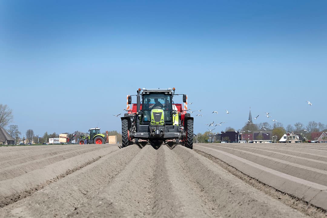 Poten van een perceel aardappelen voor de vermeerdering. Het pootaardappelareaal krimpt iets ten gunste van het fritesaardappelareaal. - Foto: Mark Pasveer