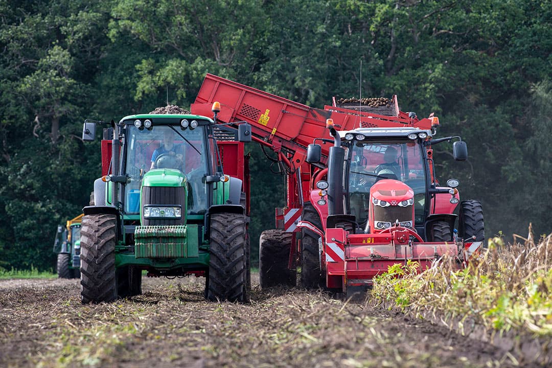 Consumptieaardappelen staan niet op de lijst van wintergewassen. - Foto: Mark Pasveer