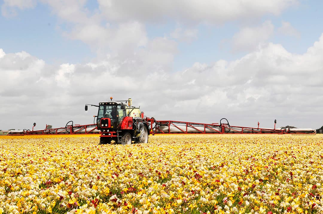 Schimmelbestrijders met azolen worden zeer breed toegepast, waaronder in gewasbeschermingsmiddelen. - Foto: Wick Natzijl