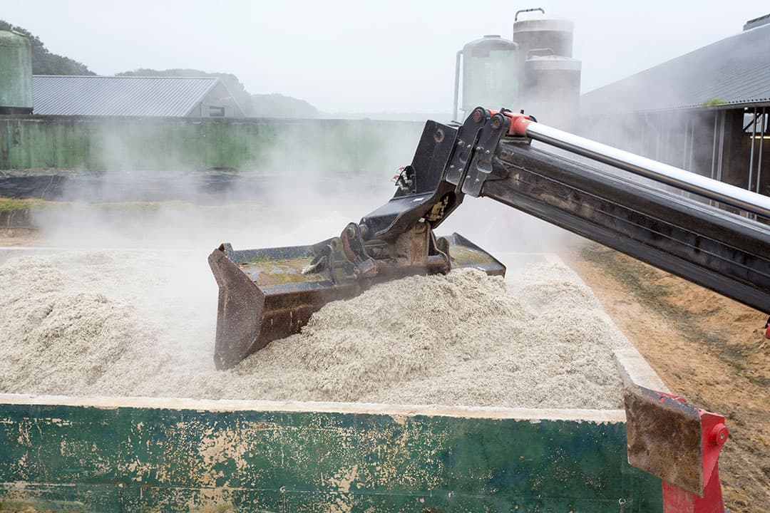 Duynie Feed start met de voorverkoop van perspulp. - Foto: Bart Nijs