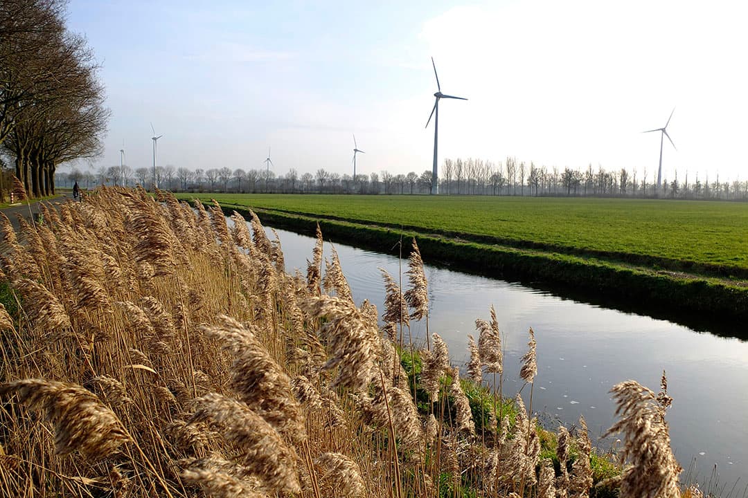 Foto: Hans Prinsen