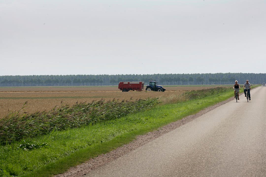 In Groningen daalde de grondprijs over de afgelopen twaalf maanden met ruim 5%. - Foto: Henk Riswick