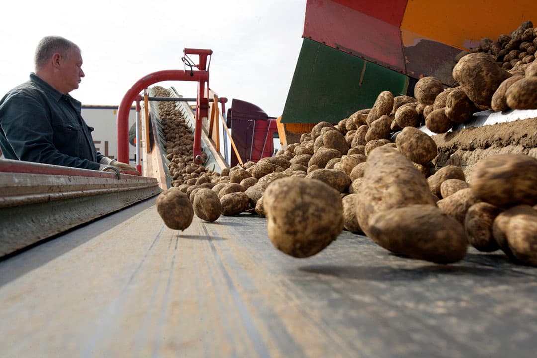 Foto: Henk Riswick