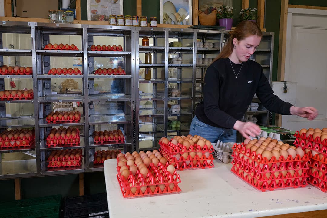 In de boerderijwinkel verkopen ze eieren, aangevuld met onder andere tulpen, aardappelen, uien en honing van collega-boeren.