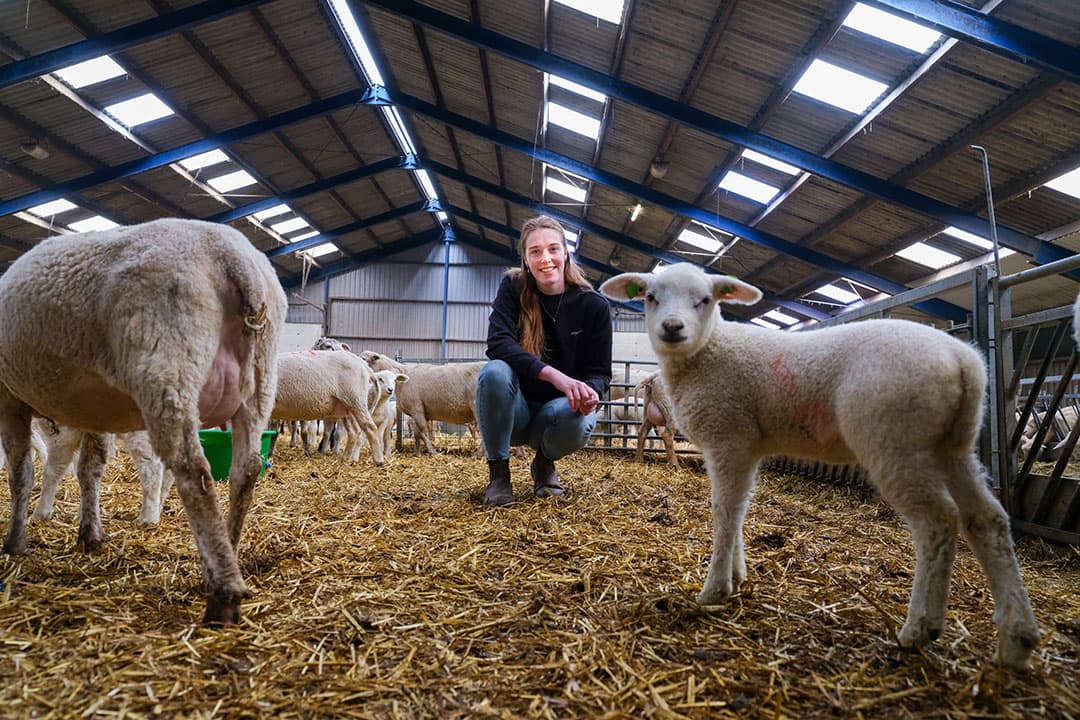 Alyanne Lenting: “Met zoveel verschillende bedrijfstakken is er elk seizoen iets te beleven. In de winter geniet ik van de lammerij.” - Foto’s: Jan Willem van Vliet