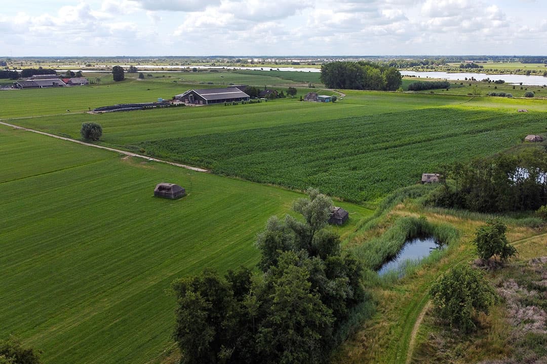 Foto: Herbert Wiggerman