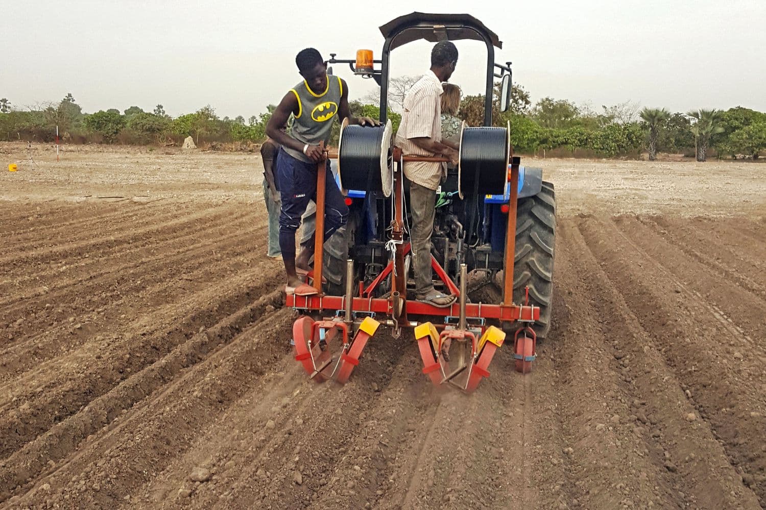 aanleg druppelirrigatie in Afrika