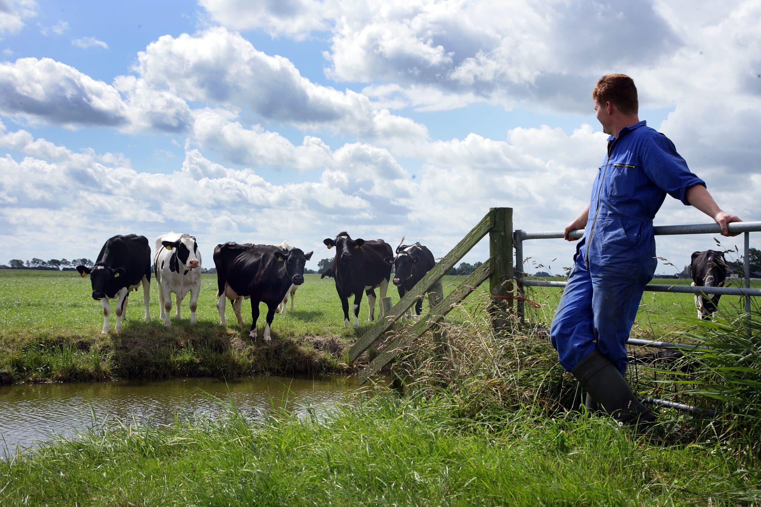 Boeren zijn meestal niet van die praters. Zorgen en problemen houden ze voor zichzelf, terwijl erover praten enorm kan opluchten. Bij de nieuwe hulplijn Taboer zitten mensen die boeren begrijpen. - Foto: Hans Prinsen