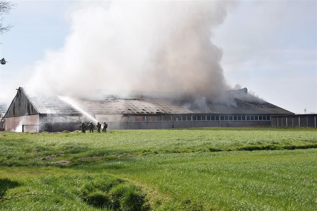 Brand was ontstaan in een varkensstal aan de Spierkesweg in Sint-Oedenrode.  - Foto: ANP