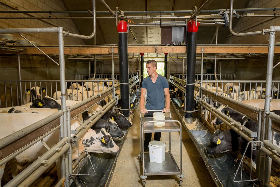 Dat ook stalbranden helaas nog altijd voorkomen, weet Joris van der Doelen als aanspreekpunt voor kalverenhouders bij de LTO-vakgroep als geen ander. Hij richt zich in die rol met name op de brandveiligheid van bestaande stallen. - Foto: Joris van der Doelen