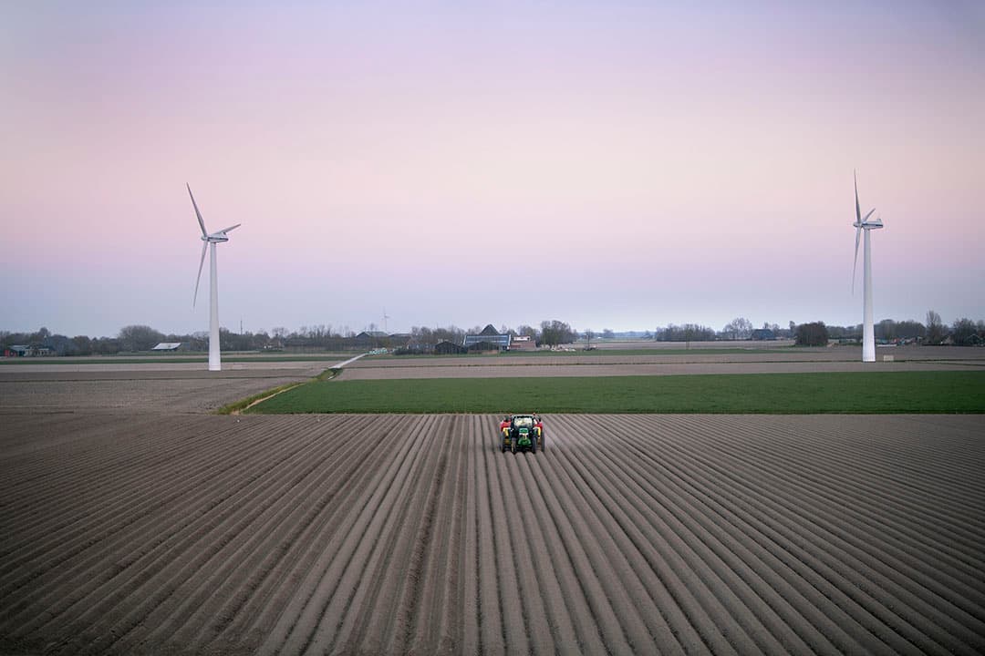 areaal industrieaardappelen