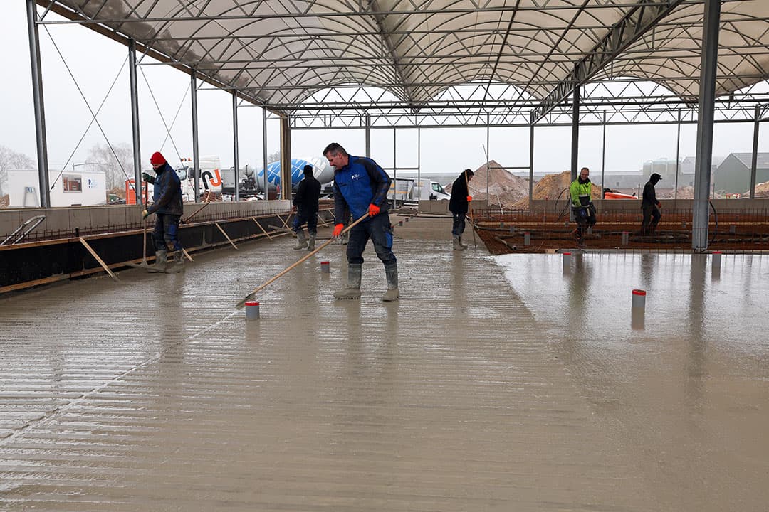 Nog een mooi overzicht in de koeientuin/serrestal. Het beton wordt gladgestreken.
