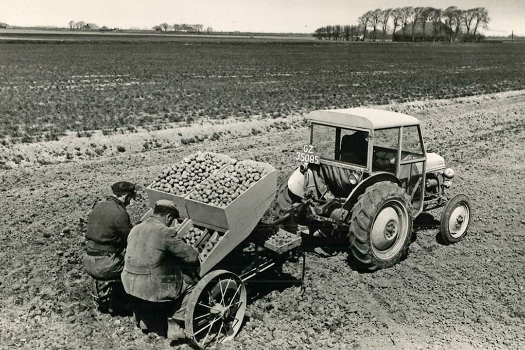 Halfautomatisch aardappels poten in 1952. Het scheelde vergeleken bij het oude handwerk onnoemelijk veel arbeidsuren. Het was echter lastig een machine te ontwikkelen die de menselijke hand zo goed mogelijk benaderde. Deze tussenvorm combineerde mens en machine maar dat zou niet lang zo blijven. De volautomatische poters wonnen snel terrein. - Foto: Misset