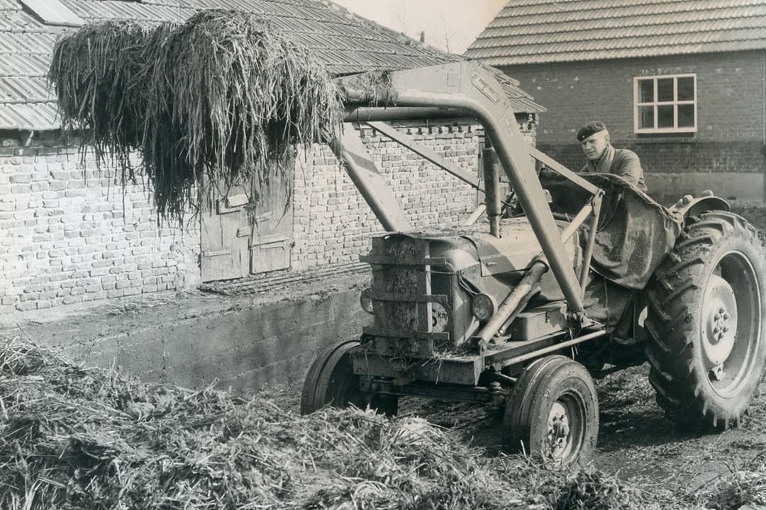 Hoe hoger de mestbult hoe meer druk op het strooisel en hoe meer mestwater eruit geperst werd. Sommige boeren lieten dit mestwater teruglopen in een opvangput maar dit werd afgeraden door de landbouwvoorlichting. De waarde van mest was gering en zo’n put was een dure aangelegenheid. Dat kon nooit uit. Foto: Misset