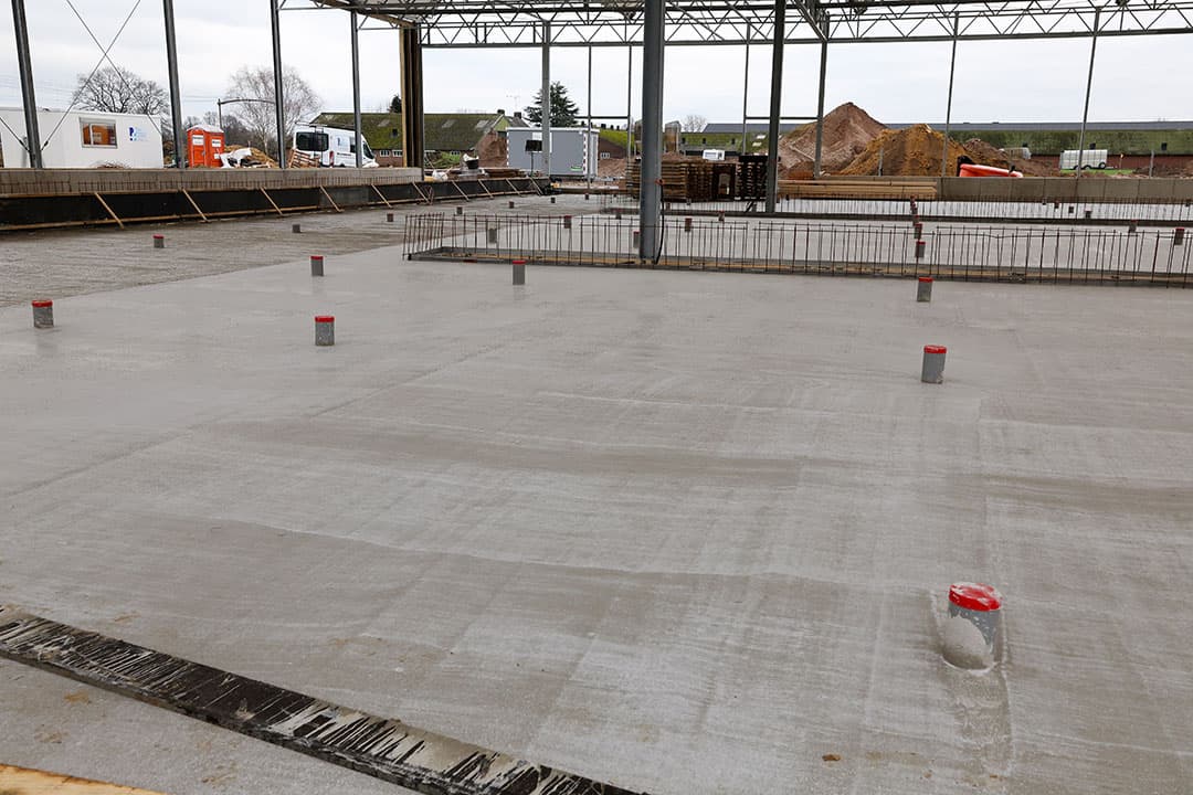 In de koeientuin is het beton inmiddels uitgehard.