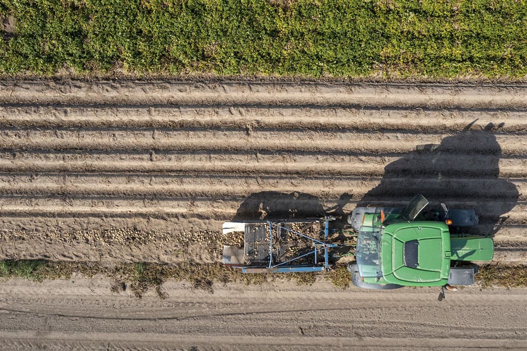 Brusselse regelgeving biedt genoeg ruimte om boeren extra te betalen voor duurzame voedselproductie. Foto: ANP