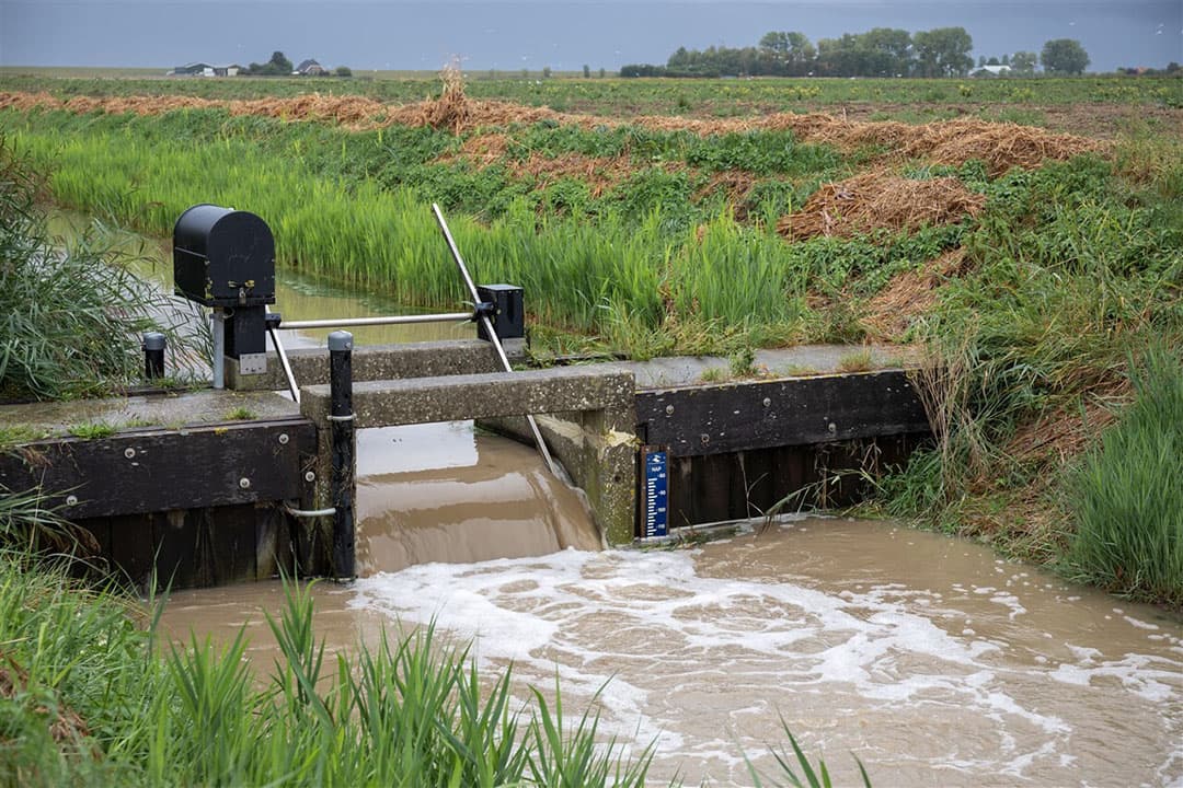Veel waterschappen hebben het peil van sloten en kanalen in de winter hoog gehouden om een watervoorraad te hebben voor als de droogte weer toeslaat. - Foto: ANP