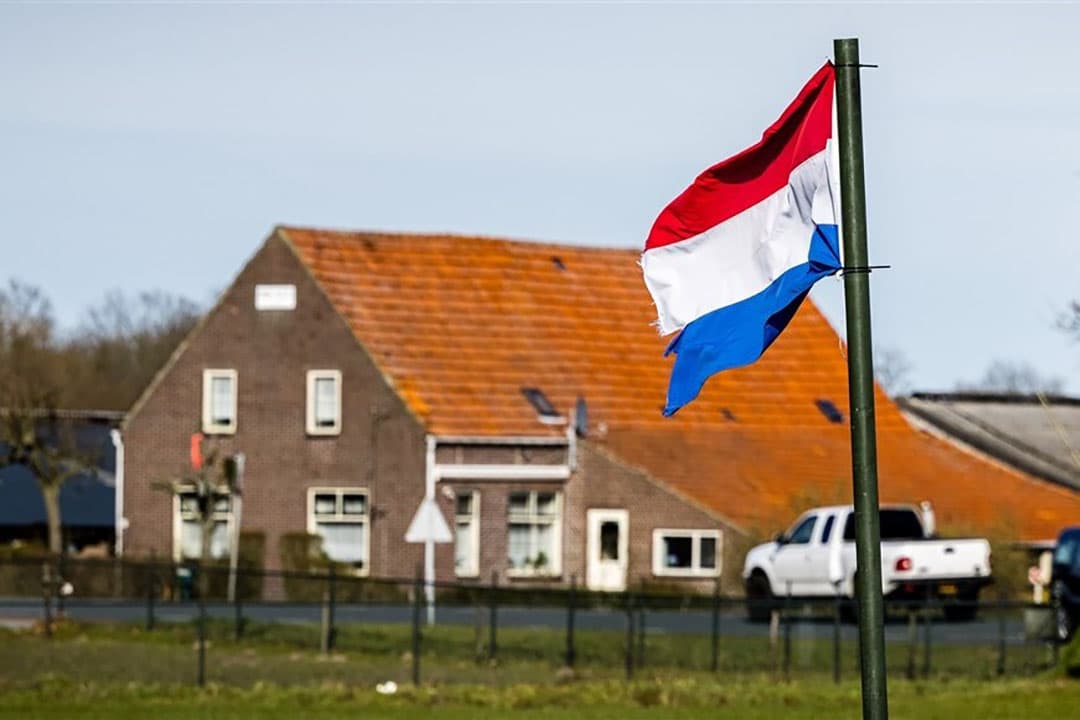 Vlaggen in een weiland in het buitengebied van Nederweert in Brabant. Boeren hangen de protestvlaggen weer in normale positie na de overweldigende winst van de BoerBurgerBeweging (BBB) tijdens de Provinciale Statenverkiezingen. - Foto: ANP / Hollandse Hoogte / Rob Engelaar