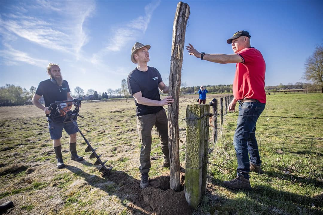 Wolfwerende maatregelen zijn bijvoorbeeld het plaatsen van rasters tegen wolven. - Foto: ANP