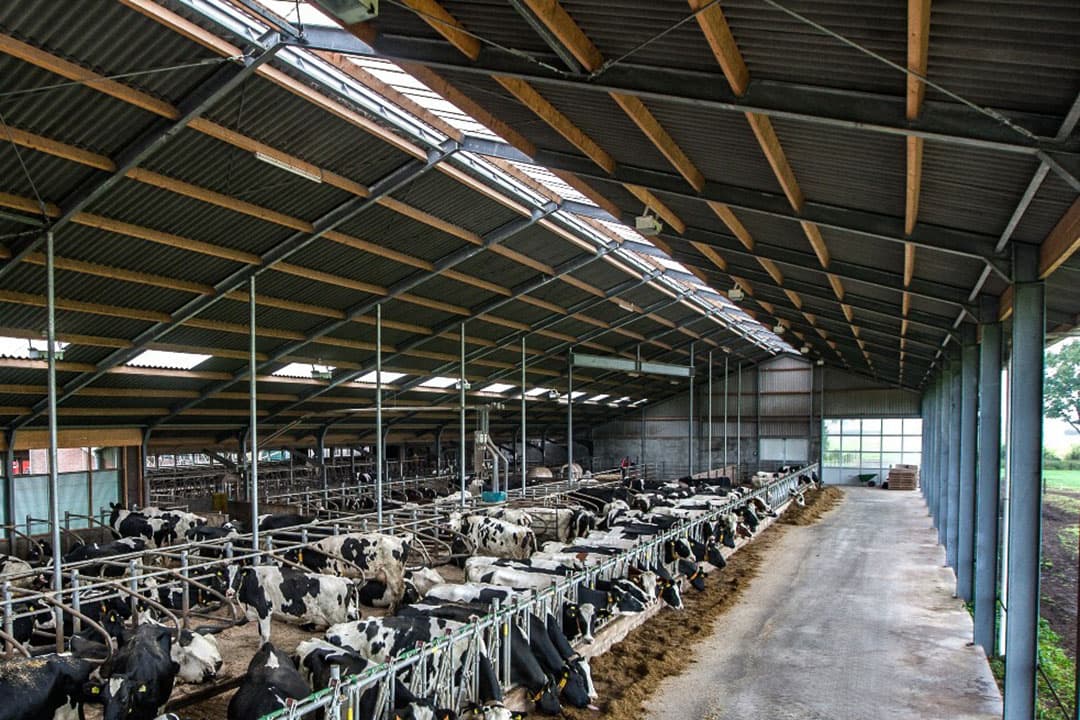 De ChristenUnie wil de handel in stikstofrechten helemaal aan banden leggen. - Foto: Ronald Hissink